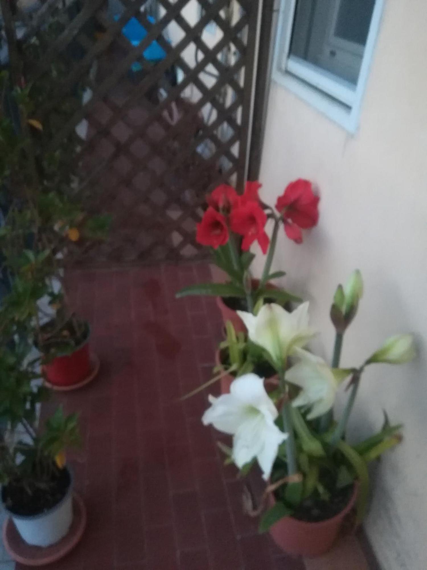 Casa Silvia Hotel Caltagirone Luaran gambar
